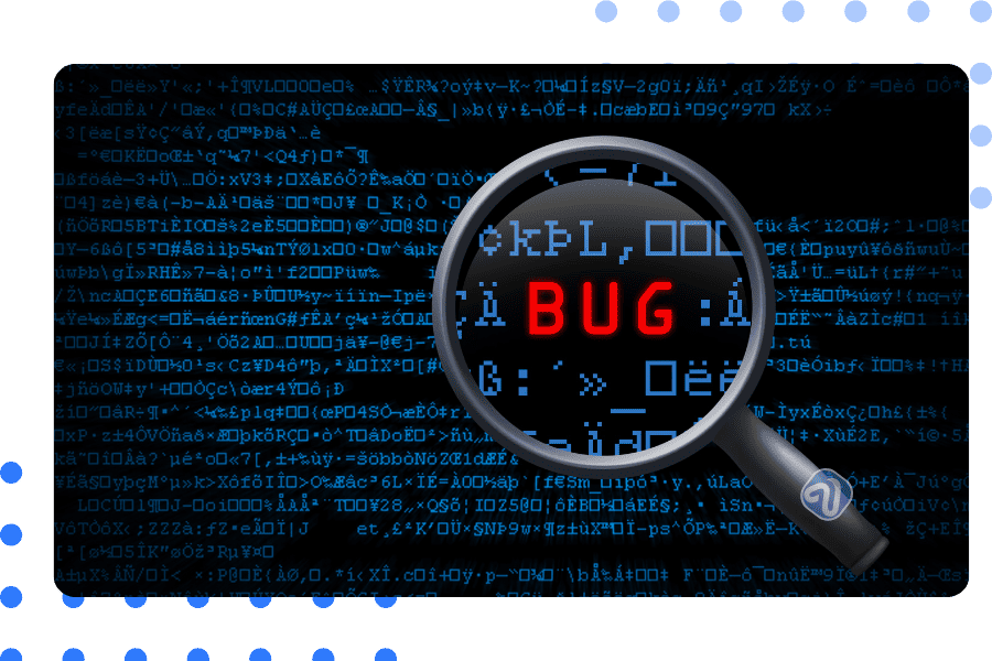 Website Bug Fixing